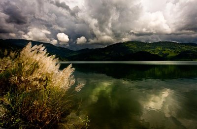 Lake near Pokhara with grass