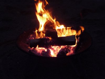 P1010229.JPG