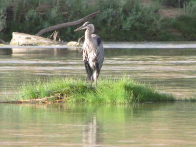 IMG_1472.JPG