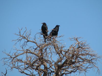 IMG_1567.JPG