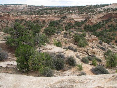 IMG_1701.JPG