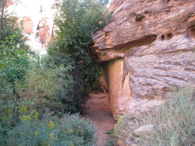 IMG_1734.JPG