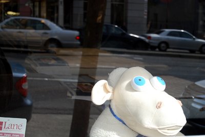 white hippo [sheep?] face