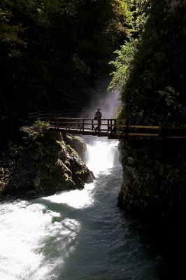 _MG_7923.jpg