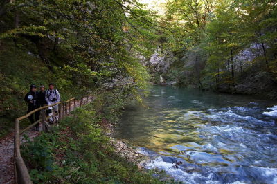 _MG_7930.jpg
