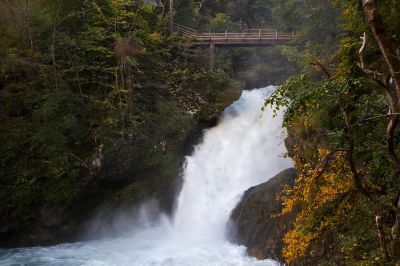 _MG_7951.jpg