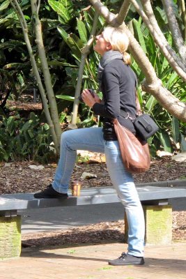Bird watching in Sydney Botanical Garden
