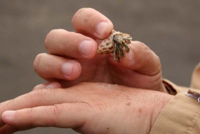 ET holding a hermit crab