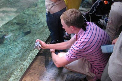 Robert Photographing Penguins