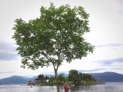 Mobilcall from Hardanger in Norway 7th of august 2011.JPG