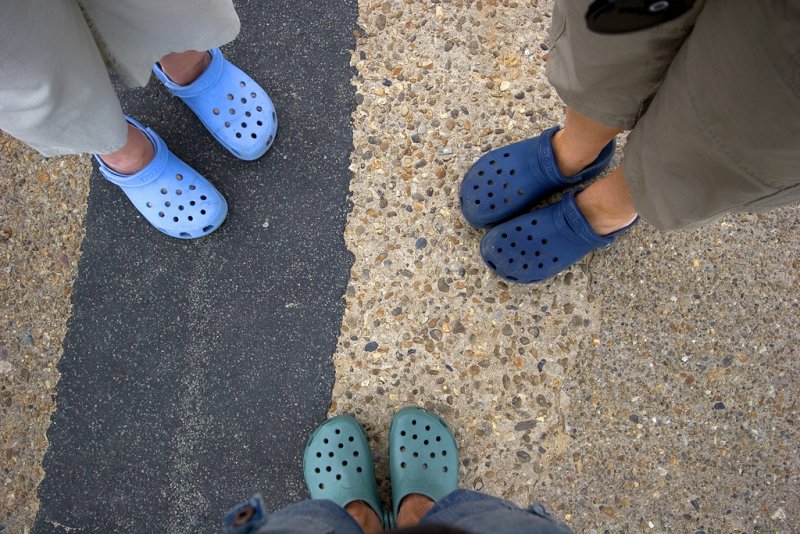 Croks on land!