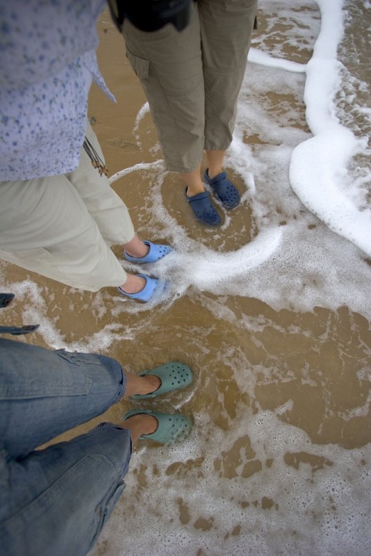 Crocs in the sea beware!