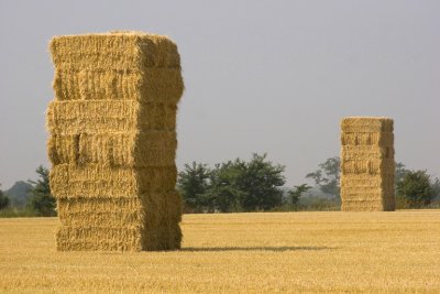 Tower Bales!