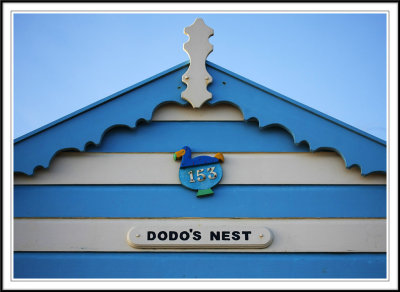 The Dodos nest.!