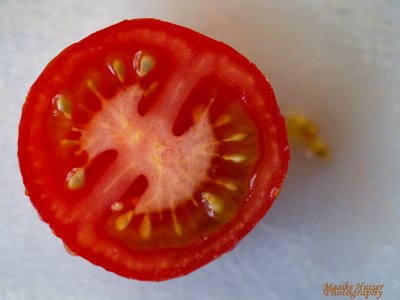 4 - The Pattern of a Tomato