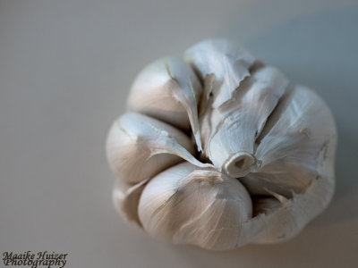 7 - Garlic Patterns