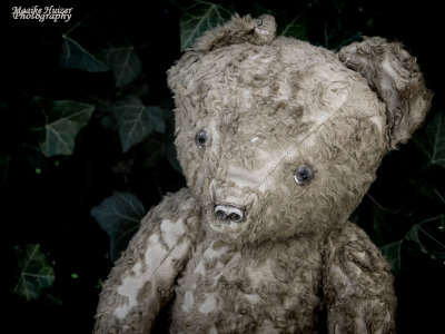 1 - Teddybear