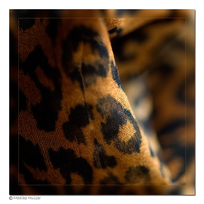 January 6th: Leopard Scarf