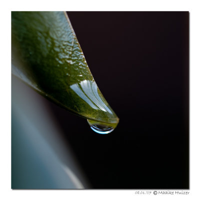 January 8th: Droplet 1