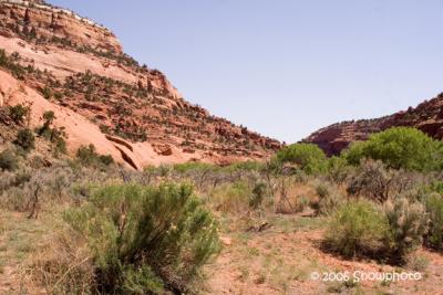 IMG_0042hwy 12 burr trail.jpg