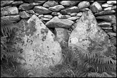 Prehistoric Stone Wall