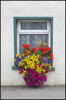 Portmagee Window Box