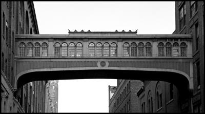 Building Bridge NYC