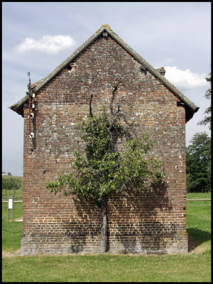 Pont L'eveque Brick Bldg Side