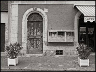 Blois door #15-toned