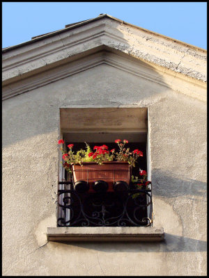 Montmartre Flower Window