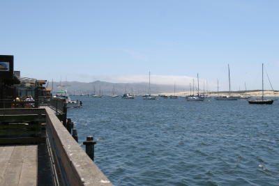 Morro Bay 2006_ 038.jpg