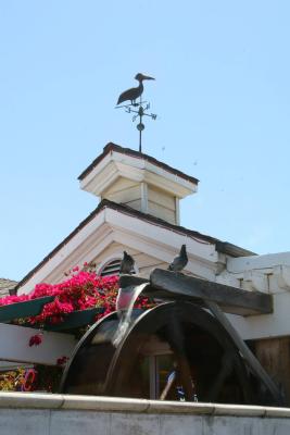 Morro Bay 2006_ 040.jpg