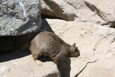 Morro Bay 2006_ 055.jpg
