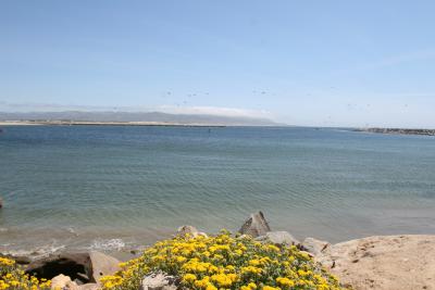 Morro Bay 2006_ 061.jpg