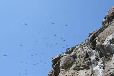 Morro Bay 2006_ 067.jpg