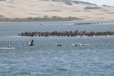 Morro Bay 2006_ 088.jpg