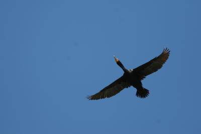 Morro Bay 2006_ 184.jpg