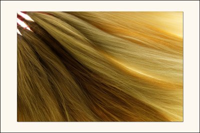 Cheveux