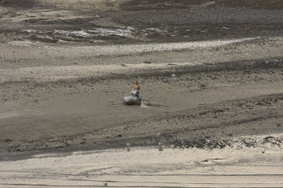 The beach in Travemnde