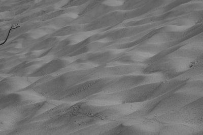 traces serpents  sonnettes / rattlesnake tracks (Death Valley)