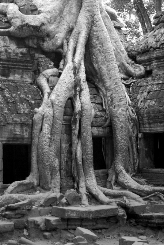 Preah Kahn