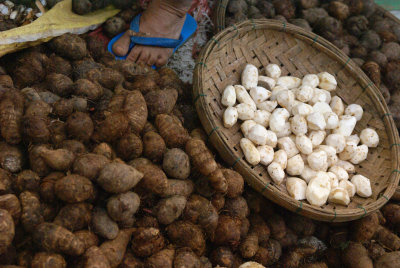 Hoi An Market