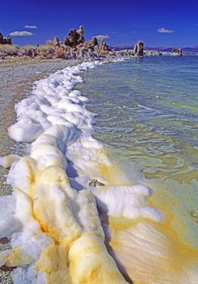 Foam caused by storm waves hitting shoreline, Mono Lake, CA