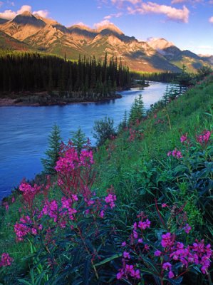 Bow River, Banff National Park, Alberta, Canada