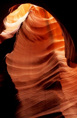 The  Sea Horse, Antelope Canyon, AZ