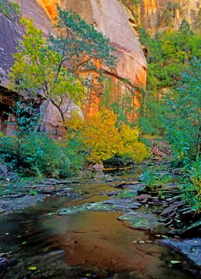 West Fork of Oak Creek Canyon, AZ