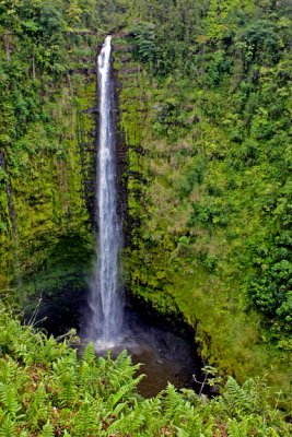 Akaka Falls, Akaka Falls State Park, HI