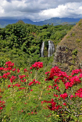 Opeakaa Falls, Kauai, HI