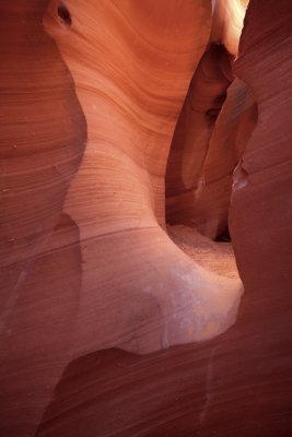 Rattlesnake Canyon, AZ