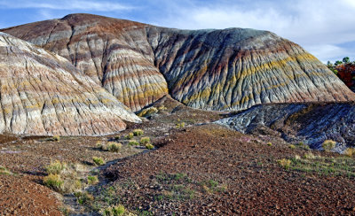 Chinle Formation, Vermillion Cliffs National Monument, AZ